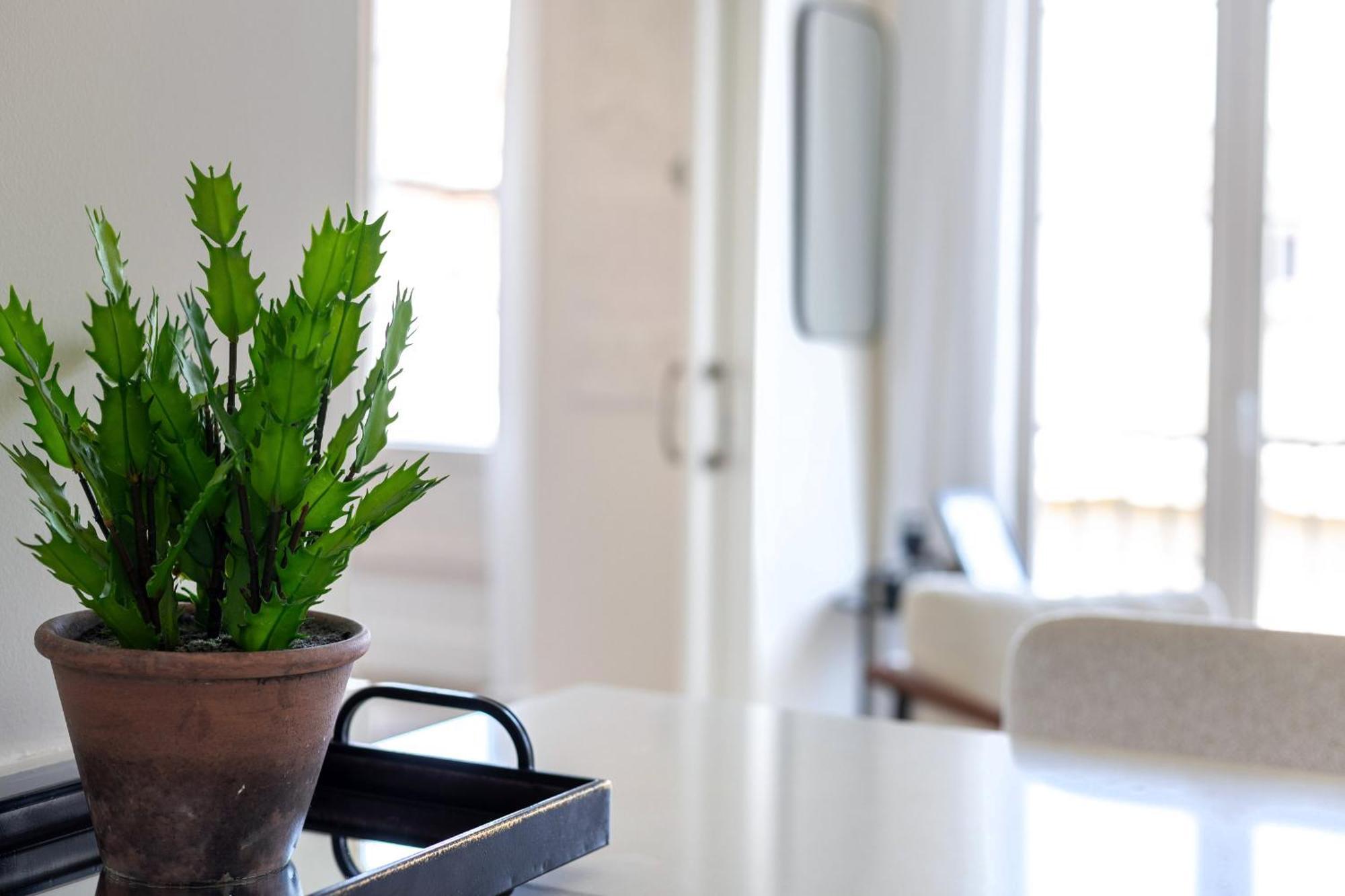 Luxury Appartement Grenade